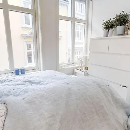 Skivebakken Leilighet